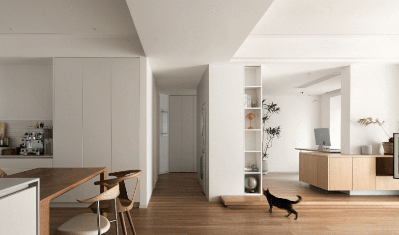 養(yǎng)貓人的生活觀